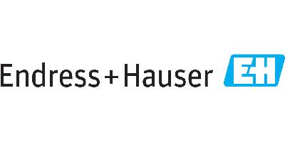 Endress + Hauser